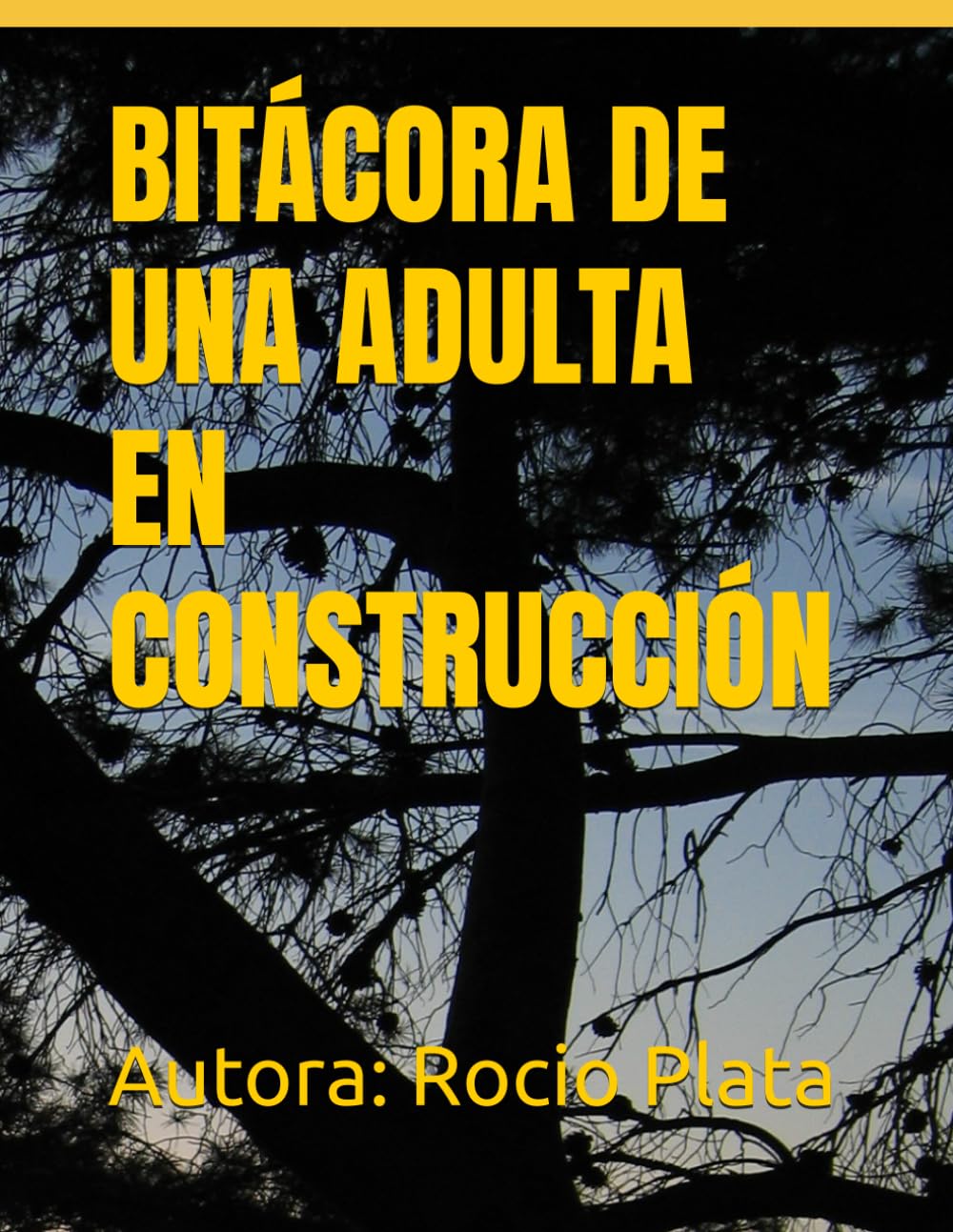 BITÁCORA DE UNA ADULTA EN CONSTRUCCIÓN