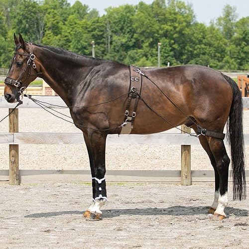 Miniatura 2 de Sistema de entrenamiento de equilibrio Dura-Tech: juego completo esencial para entrenamiento de caballos | Mejora el impulso hacia adelante |