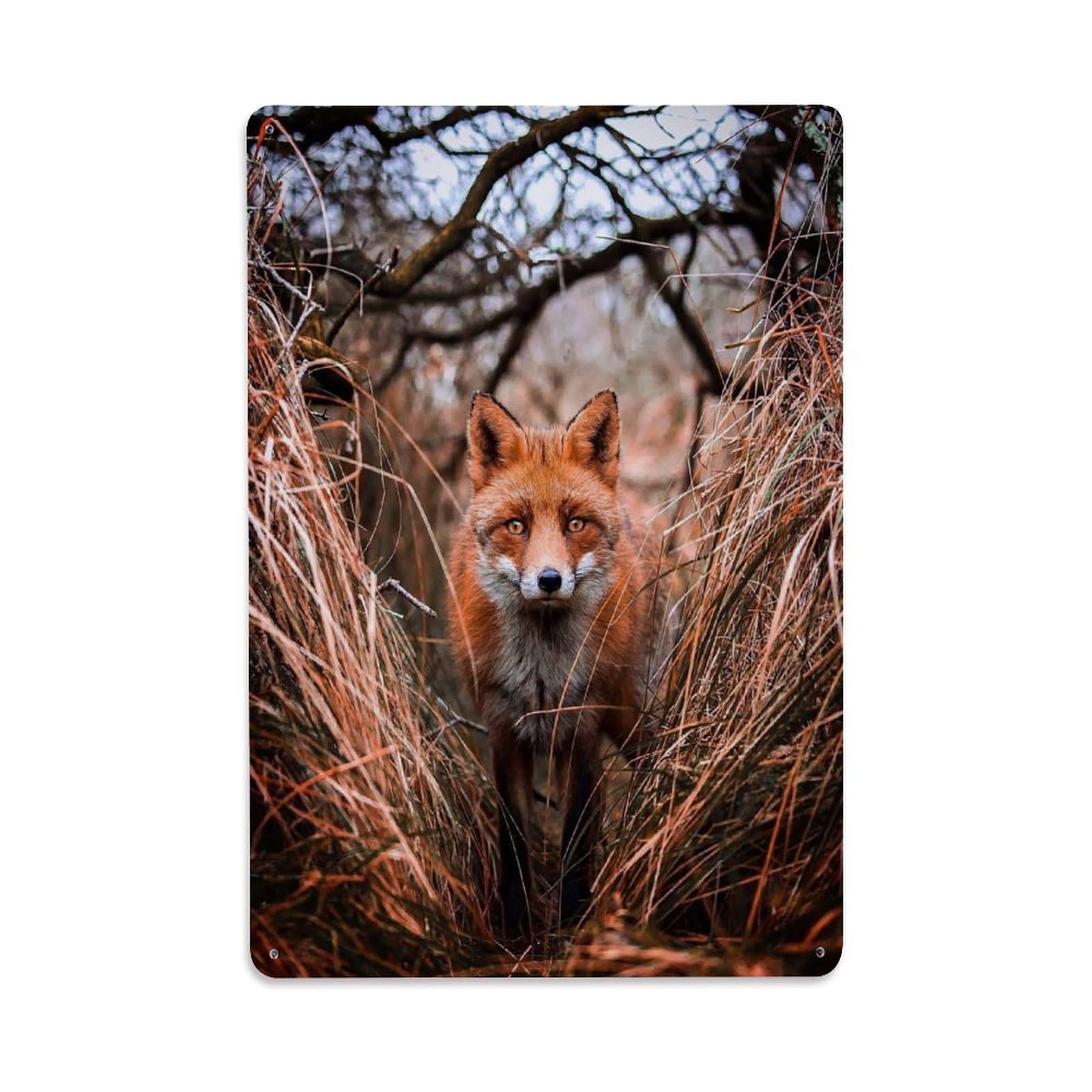 Autumn Forest Vintage Fox Animal Nature Wildlife Aesthetic Metal Tin Sign Plaque Wall Decor for Cafe, Man Cave, Club Bar, Office, Home Garden Round Metal Poster 8x12Inch