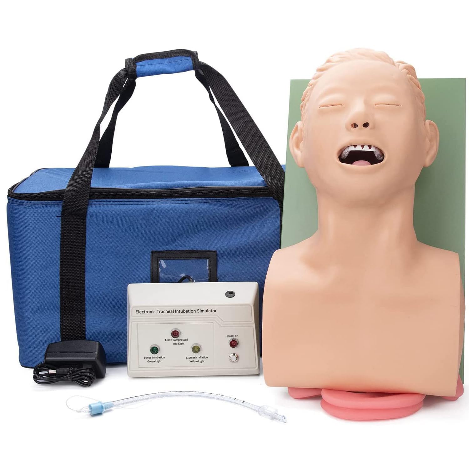 Modello umano per intubazione endotracheale - Simulatore di manichino per intubazione tracheale, kit di aiuti formativi per la gestione delle vie aeree orali e nasali per pratica/studio,220V