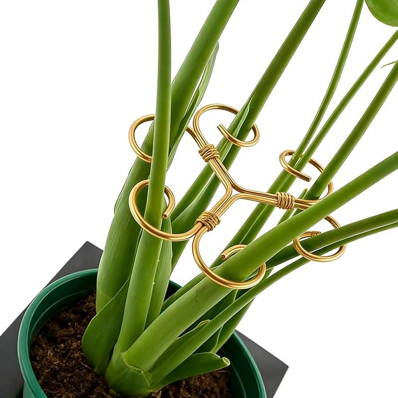 YAPROMO 4PCS Iron Monstera Plant Support - 4.1IN Plant Support Stakes for Indoor Plants, Plant Stakes and Supports, Ideal Plant stem Support for Turtle Shell Bamboo & Houseplants (A+B)