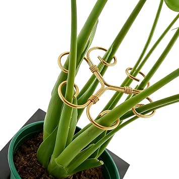YAPROMO 4PCS Iron Monstera Plant Support - 4.1IN Plant Support Stakes for Indoor Plants, Plant Stakes and Supports, Ideal Plant stem Support for Turtle Shell Bamboo & Houseplants A+B