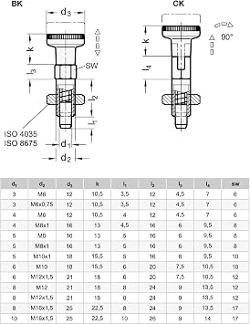Ganter Normelemente GN 717-8-M12X1 5-BK-ST - Latching Bolt, Silver, Pack of 2