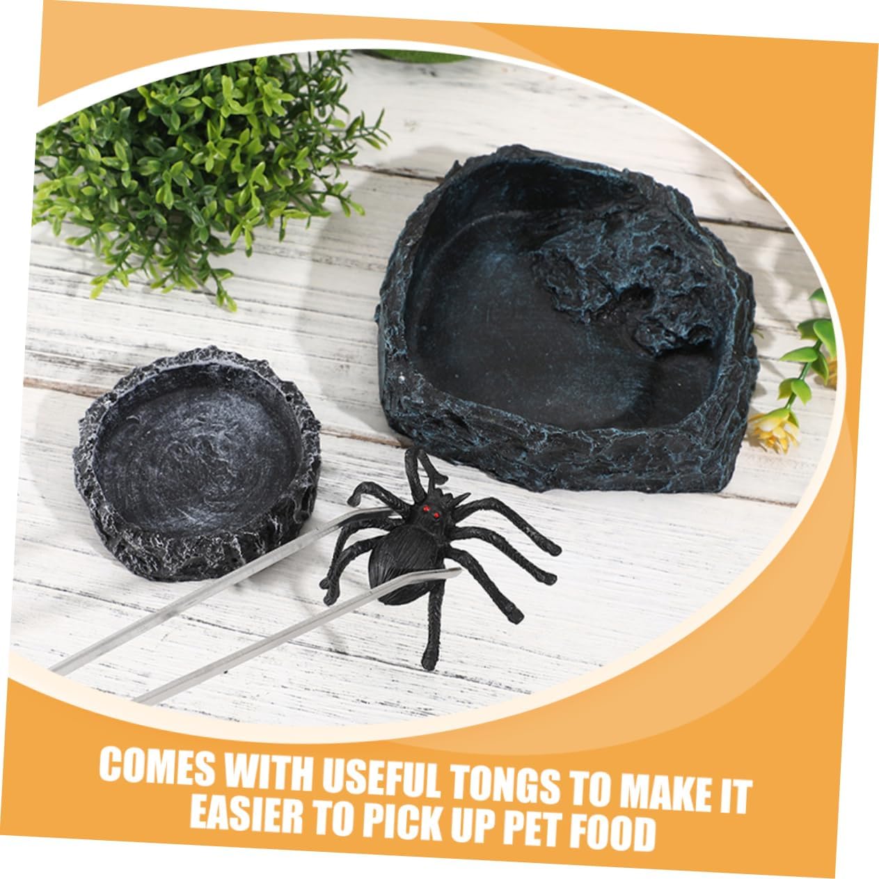 PRETYZOOM Large Reptile Food Bowl Turtle Water Dish Snake Feeding Tongs Crab Food Dish Reptile Bowl Easy to Clean