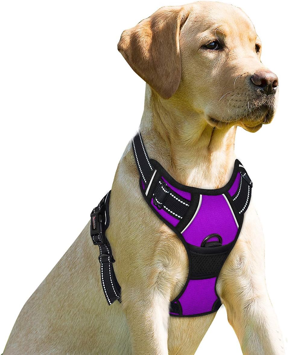 BARKBAY No Pull Dog Harness Front Clip Heavy Duty Reflective Easy Control Handle for Large Dog Walking(Purple,XL) X-Large(Chest:31-38”) Purple