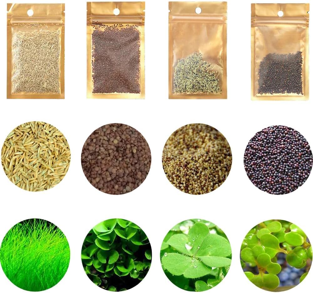 4 Aquarium Plants S.e.e.d Set, not Artifical, Fish Tank Decor Replacement for Resin or Plastic Grass