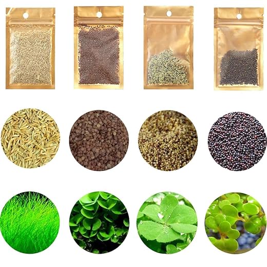 4 Aquarium Plants S.e.e.d Set, not Artifical, Fish Tank Decor Replacement for Resin or Plastic Grass