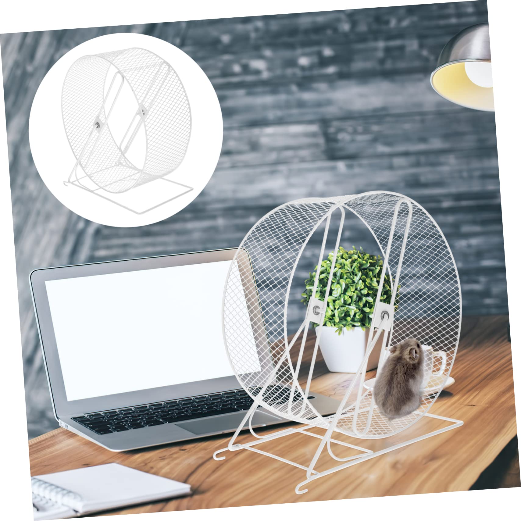 Roue Hamster Silencieuse Jouet à Roue d'Écureuil en Fer Blanc Rack | Roue d'Exercice pour Hamster, Jouet pour Hamster, Accessoires pour Hamsters, pour Petits Animaux