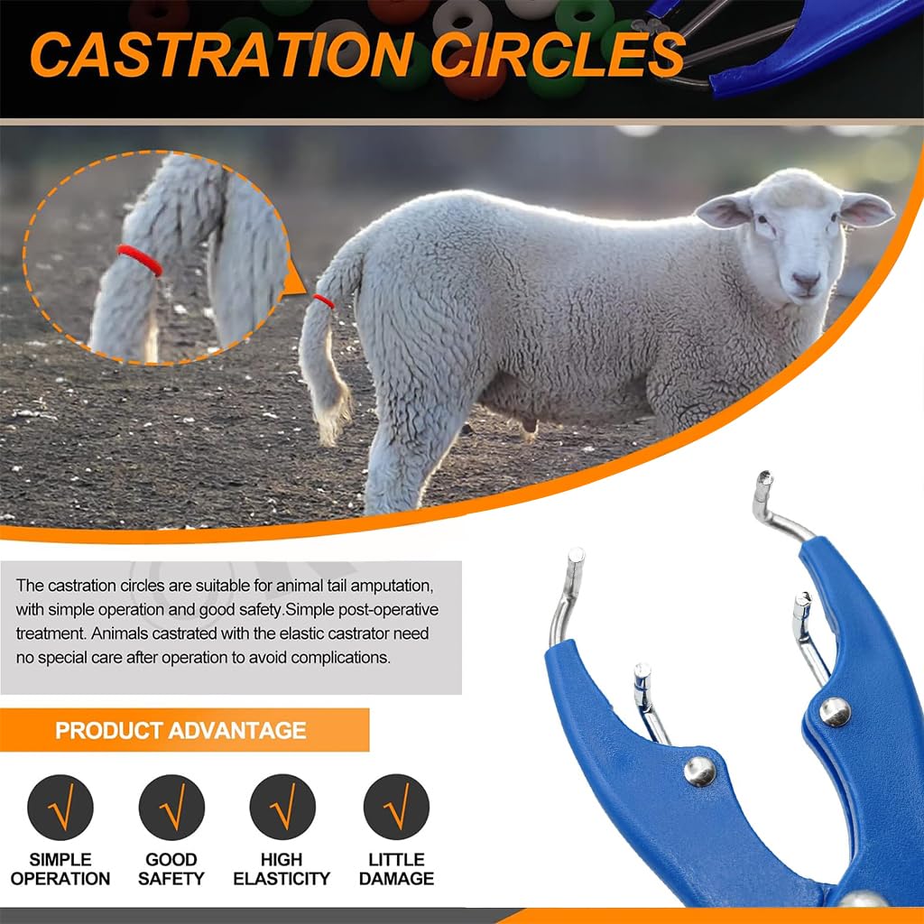 Sheep Shears XL Bander Rings (25 Count) - For Castrating Cattle, Sheep ...