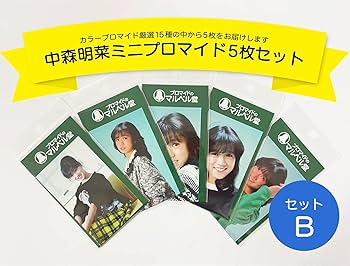 大幅値下げして再出品。当時モノ多数　限定商品　中森明菜レアグッズ多数 中森明菜 CD 8枚セット