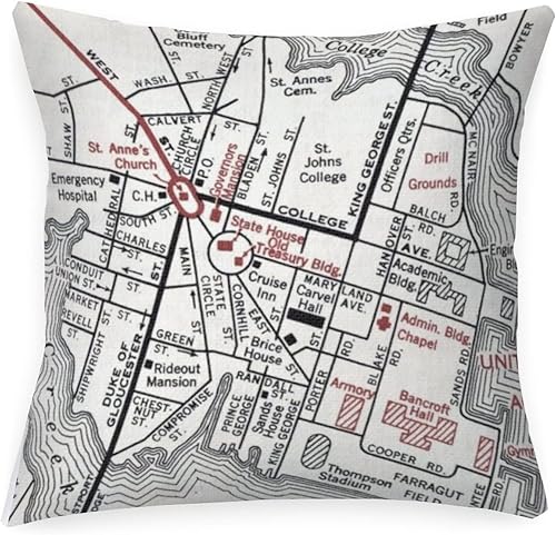 Annapolis Map - Fundas de almohada para exteriores, impermeables, 24 x 24 pulgadas, diseño de mapas del mundo, fundas decorativas modernas para