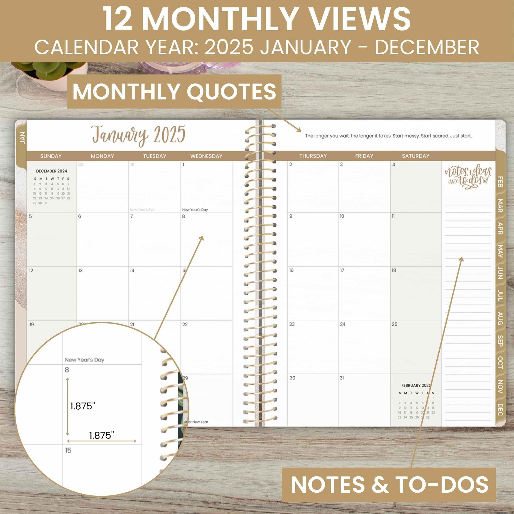 bloom daily planners Agenda anual 2025 (8.5 x 11 pulgadas) (enero de 2025 a diciembre de 2025) – Organizador semanal mensual con fechas con calcomanías y pestañas, color beige cepillado