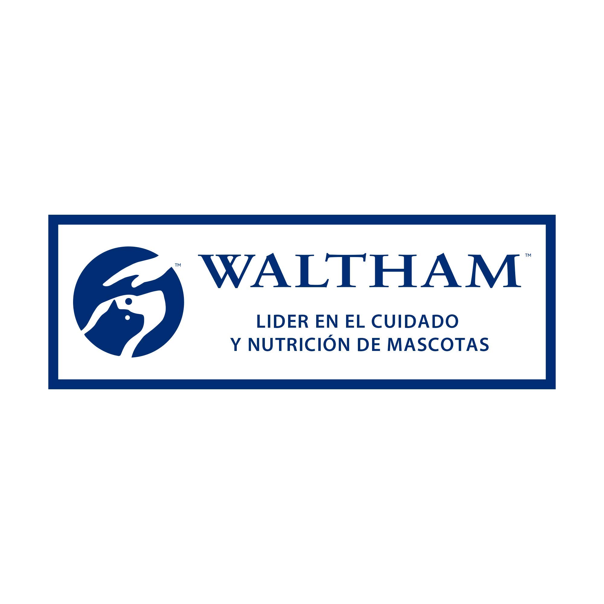 Whiskas Temptations con Salmone 6x60g