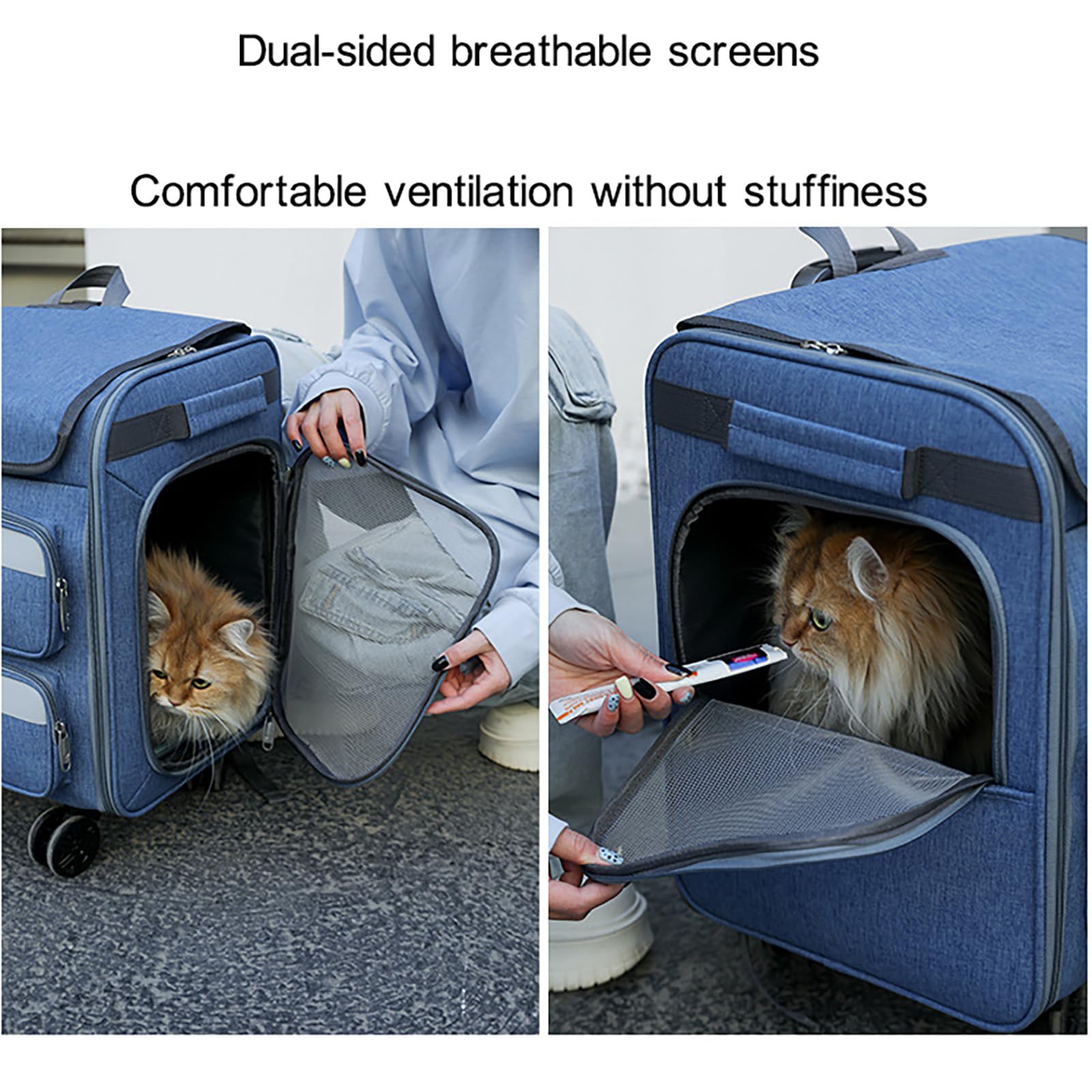 TransportíN para Gatos con Ruedas, Aprobado por AerolíNeas, con VentilacióN Multilateral Y Un Recipiente Plegable para Perros Y Gatos PequeñOs, Medianos Y Grandes. (Gray)