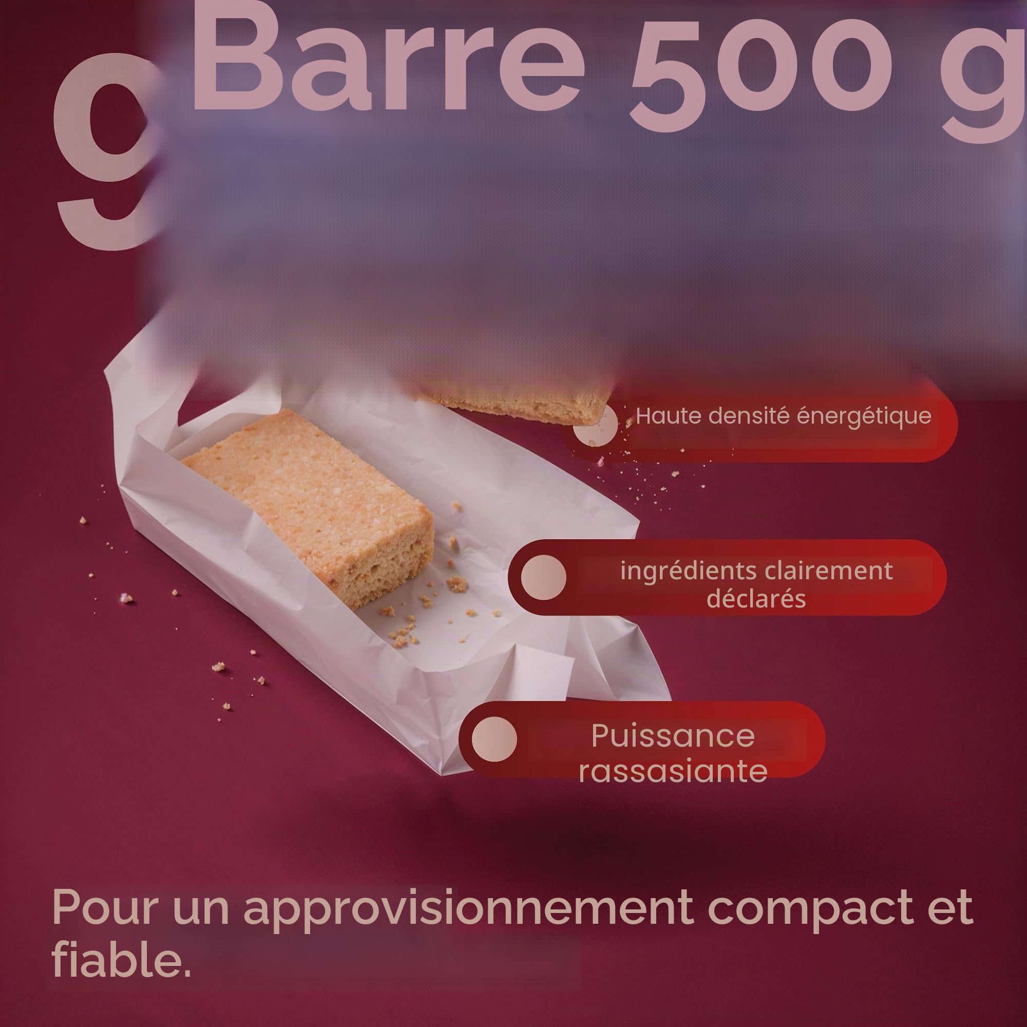Produit spécial GS-10 Emergency Food 24 x 500 grammes de nourriture longue durée - durée de conservation extrêmement longue | ration de combat