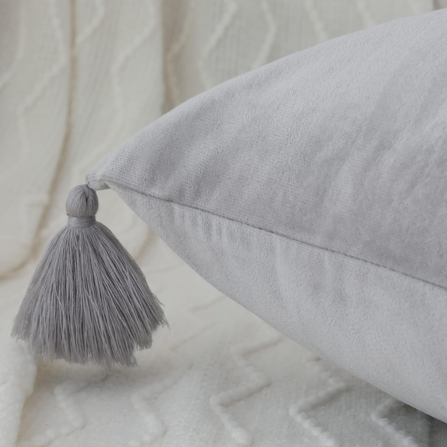 CAROMIO 20X20 Throw Pillow Covers Decoration Cozy Velvet Throw Pillow Cover Soft Decorative Plush Pillow Case Cushion Cover Shell for Sofa Bedroom Car, Light Gray,20x20