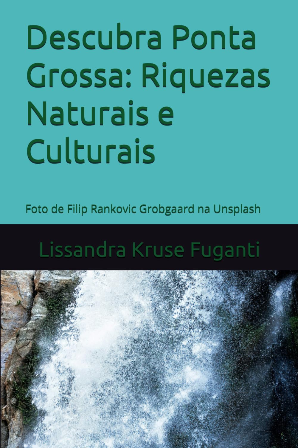 Descubra Ponta Grossa: Riquezas Naturais e Culturais (Portuguese Edition)