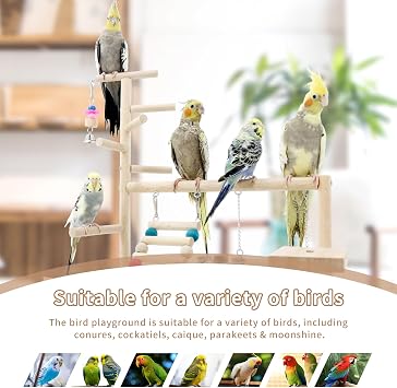 Bird Playstand Cockatiels Playground Perch Stand Parrot Play Gym for Parakeets Conures Parrotlets and Finches, Easy Assembly Includes Colorful Toys and Perch 1Ladder with Platform