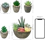 Succulents Plantes Ensemble artificiel de 5, Des faux succulents réalistes avec des ciments comme des pots pour la décoration de bureau d'intérieur.