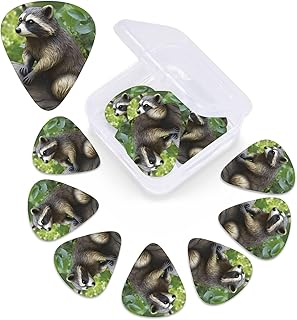 Raccoon Statue print Guitar Picks 12 Pack Personalized Guitar Picks with Storage Box Guitar Accessories for Ukulele Electric Acoustic Guitars Bass