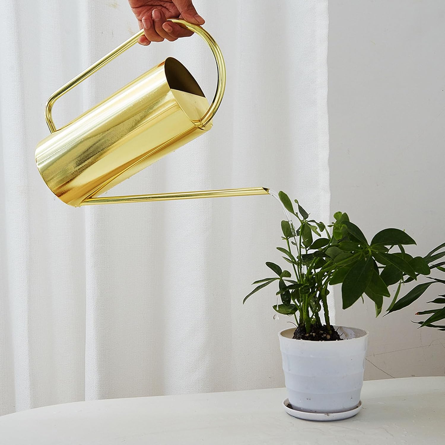 Stainless Steel Watering Can, Indoor Metal Watering Can Long Spout 1500ml Large Capacity Watering Kettle for Desk Office Plants (Gold)