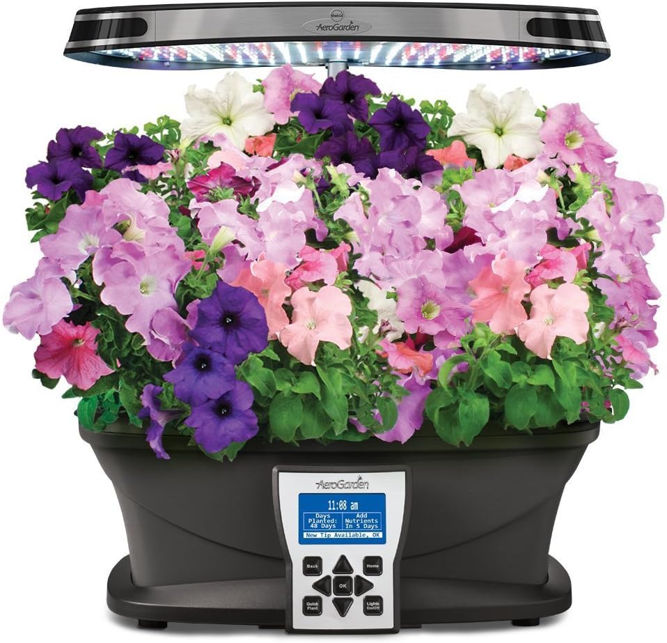 AeroGarden Cascading Petunia Flower Seed Pod Kit, 7