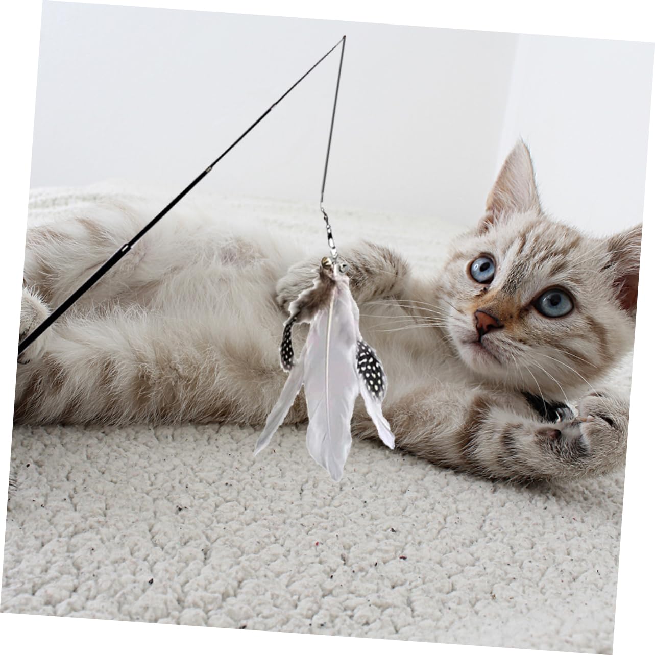 INOOMP 8stücke Katzenangeln Mit Teleskopierbarem Stab Und Bunten Federn Interaktives Spielzeug Für Katzen Und Kätzchen Bewegung Und Spielspaß