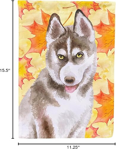 Miniatura 7 de Caroline's Treasures BB9957GF - Bandera de jardín de otoño gris de Husky siberiano, bandera amarilla para buzón, bandera decorativa para patio