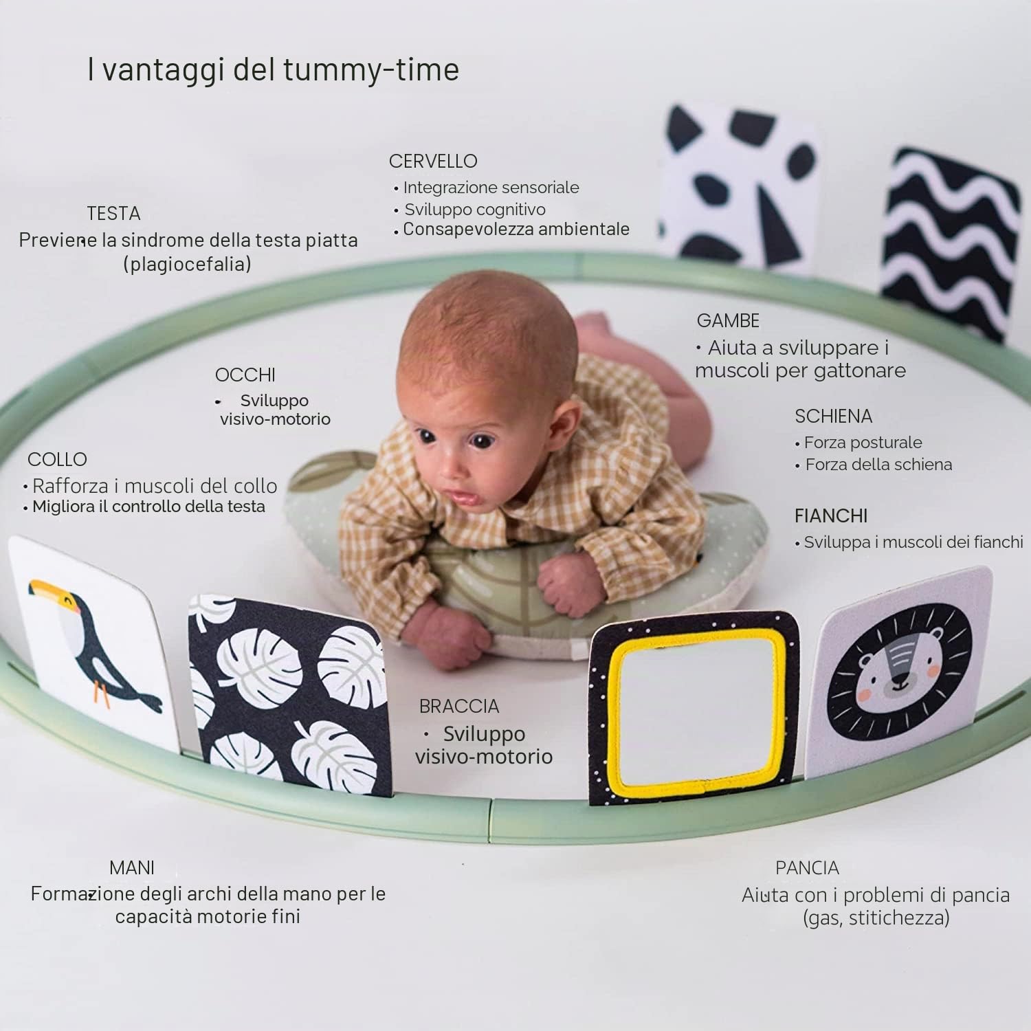 Taf Toys - Supporto per il tempo dell'addome per neonati e neonati, centro attività di sviluppo con cuscino rimovibile e giocattoli che favoriscono lo sviluppo dei sensi del bambino