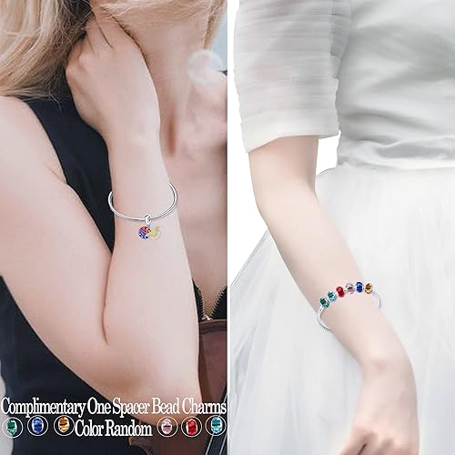 Miniatura 3 de LNQOBU Dijes de plata de ley 925 para pulseras y collares para mujeres y niñas (con una cuenta espaciadora)