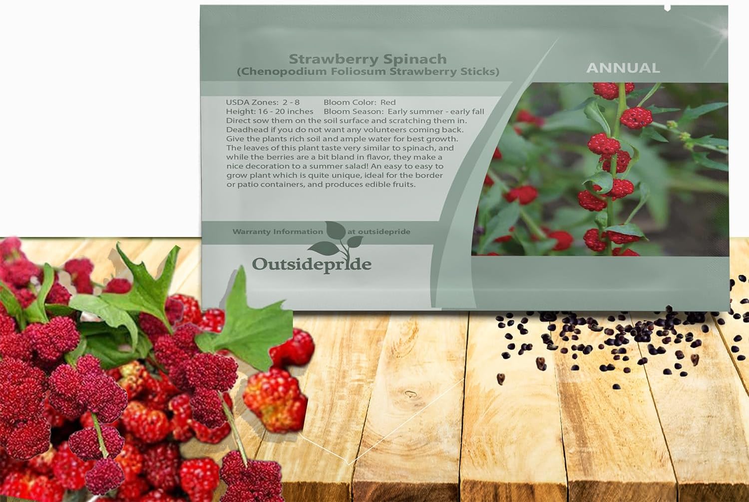 Outsidepride Strawberry Spinach Seeds - 5000 Pcs. Annual, Easy to Grow & Low Maintenance, Fruit Seeds for Planting Edible Foliage & Strawberry-Like Fruits for Pollinator Gardens & Erosion Control