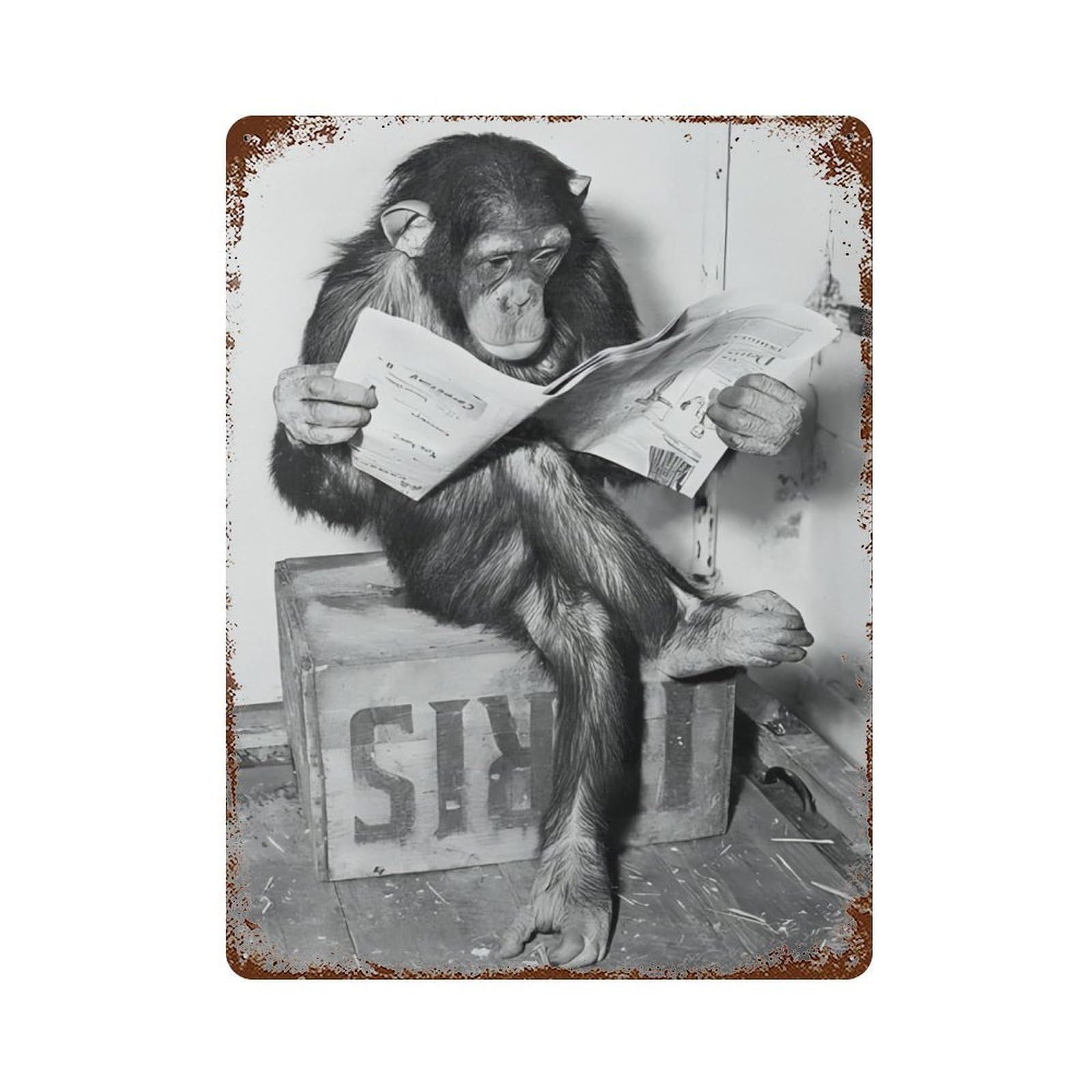 xiaoxiaoshen Monkey Reading Newspaper Wall Decor Art Metal Tin Poster Modern Home Decor Art Home Bar Shop Decorations Vintage Sign 40x30cm