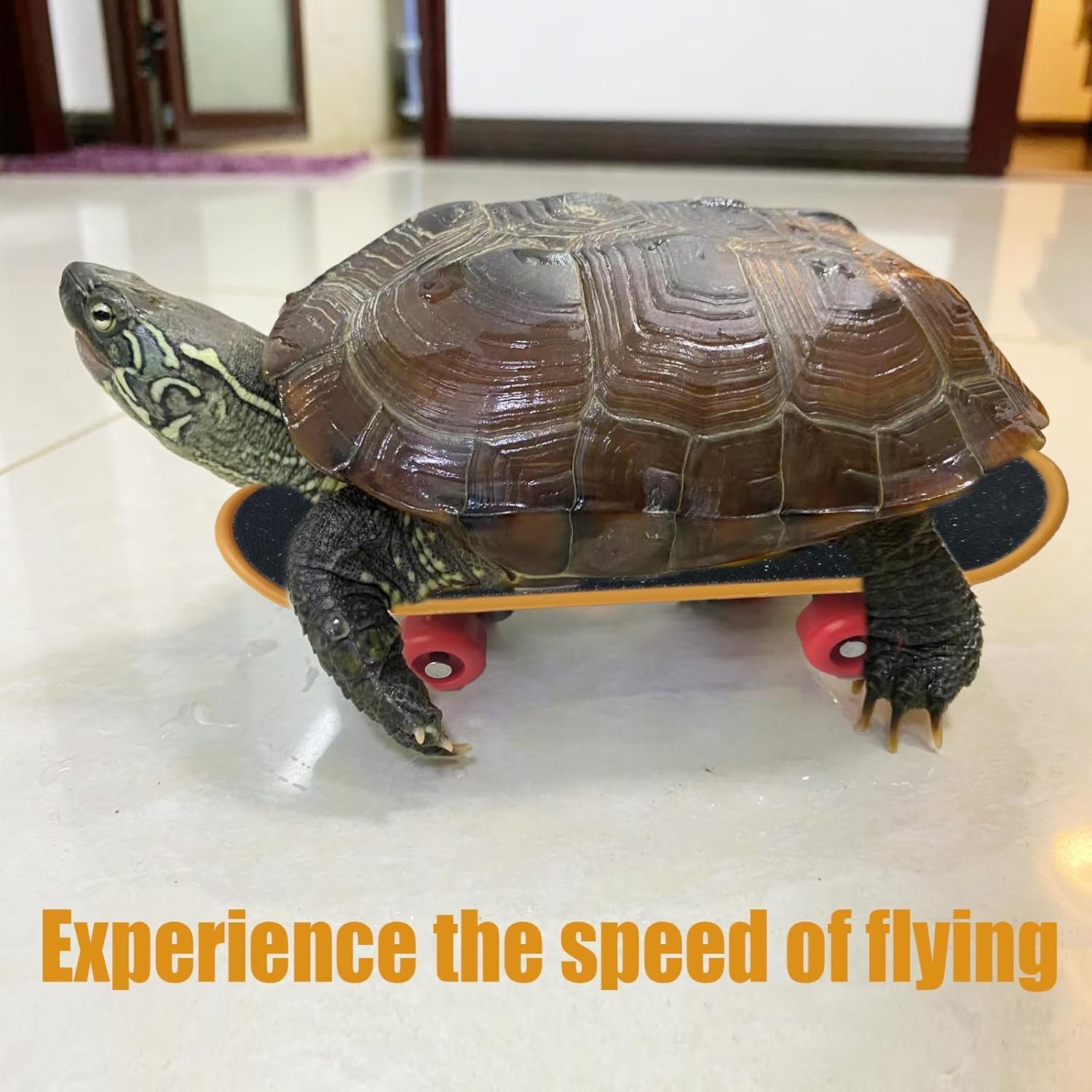 Turtle Skateboard Toys Fast Skate Accessory Funny Pet Playing Training Toy Mini Walking Skateboards Parrot Reptile Finger Skateboard Toys (6PC) image 5