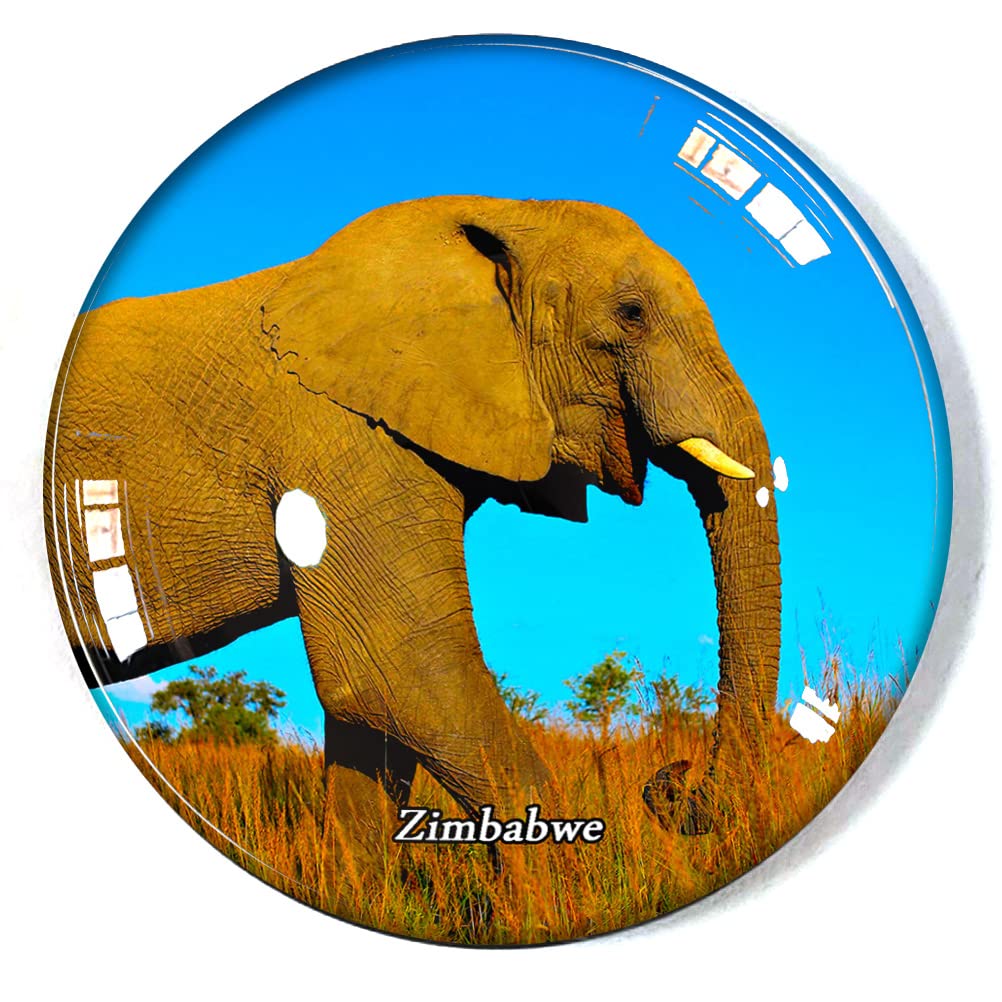 Zimbabwe Fridge Magnet Refrigerator Freezer Magnet Souvenir Decoration Magnet Sticker Glass Crafts
