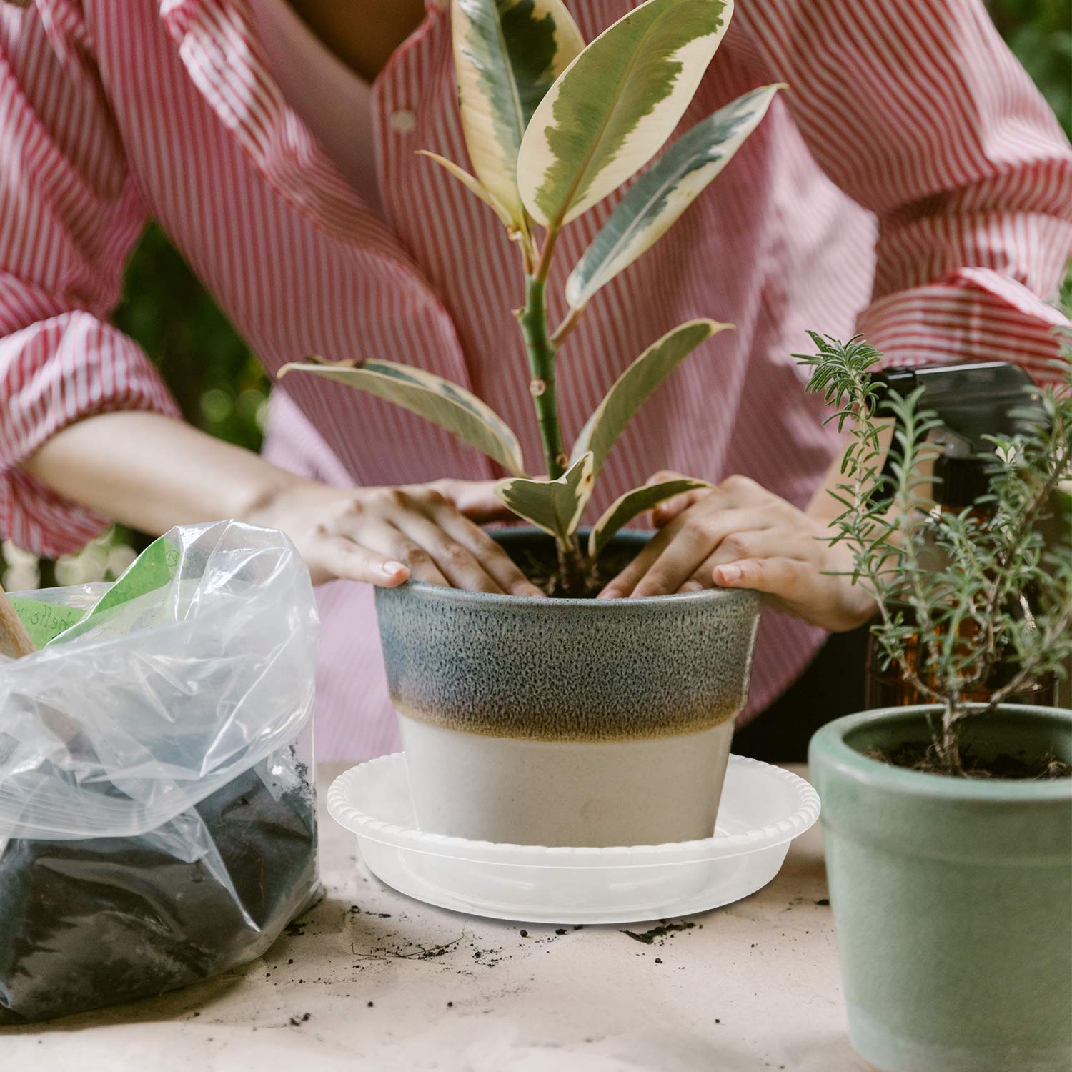 Lainrrew Plant Saucer, 18 Pcs Clear Plant Trays Plastic Plant Pot