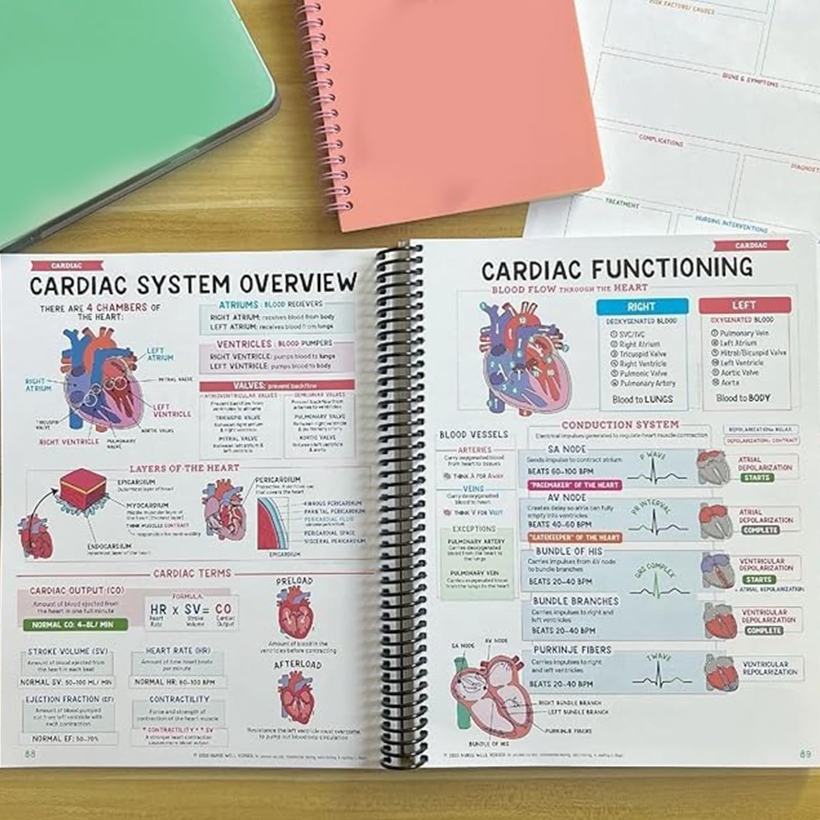 Cahier de notes Success Made Paper Tincasen Nursing School Bundle (2pcs)