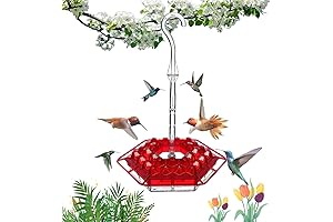 2024 New Mary's hummingbird feeder: Designed for your feathered friends' delight