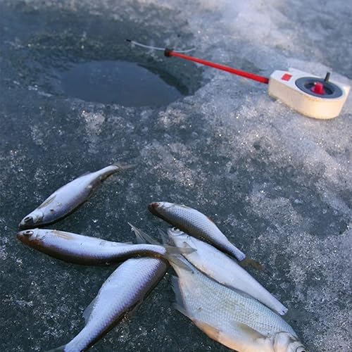 Miniatura 6 de 24 piezas de plantillas de pesca en hielo para panfish Crappie Sunfish Walleye Ice Fishing Jig Box Accesorios Equipo de pesca en hielo Juego de caja