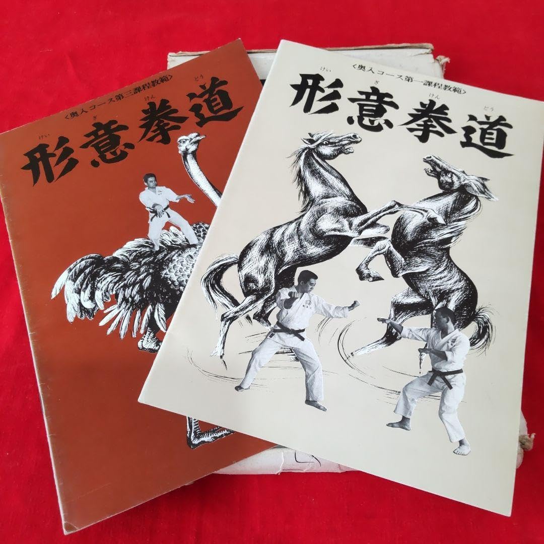 中国拳法大講座 大塚忠彦』中国拳法振興会 1975年 中国拳法大講座