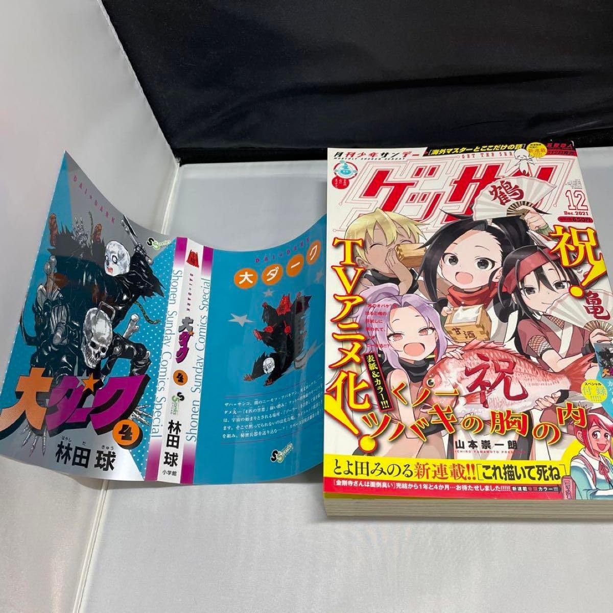 林田球 大ダーク　アナザーカバー付 ドロヘドロ」林田球の新作「大ダーク」1巻発売、ゲッサン付録に別