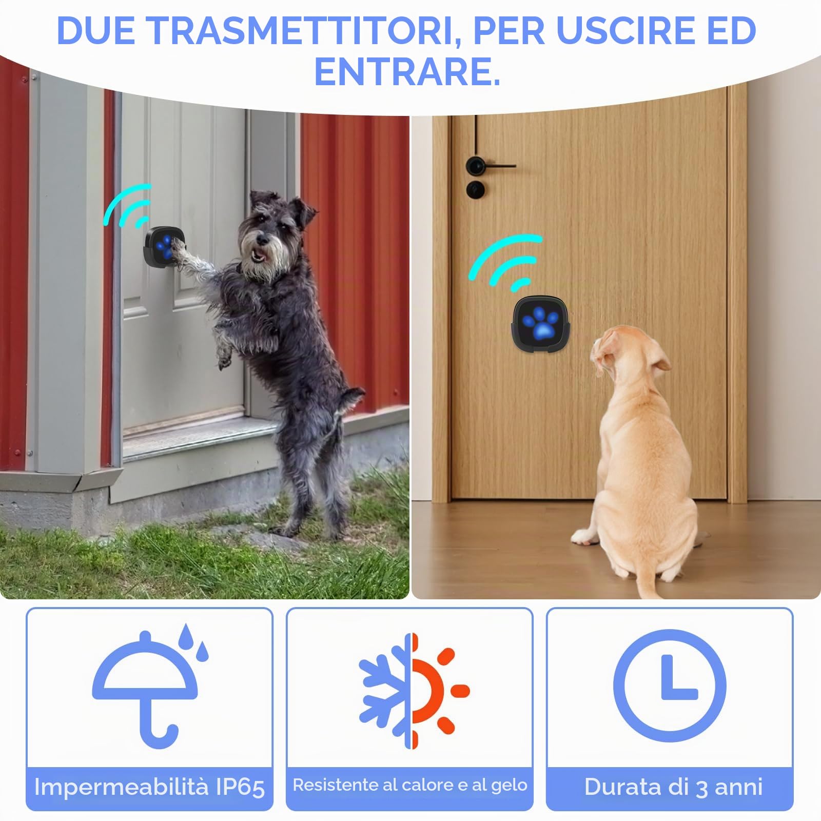 Campanello per Cani Whimsii, Campanello Wireless per Uscire, Pulsanti Impermeabili IP55, 55 Melodie, 4 Livelli di Volume e Portata di 950 Piedi (Nero, 1 Ricevitore, 2 trasmettitori)