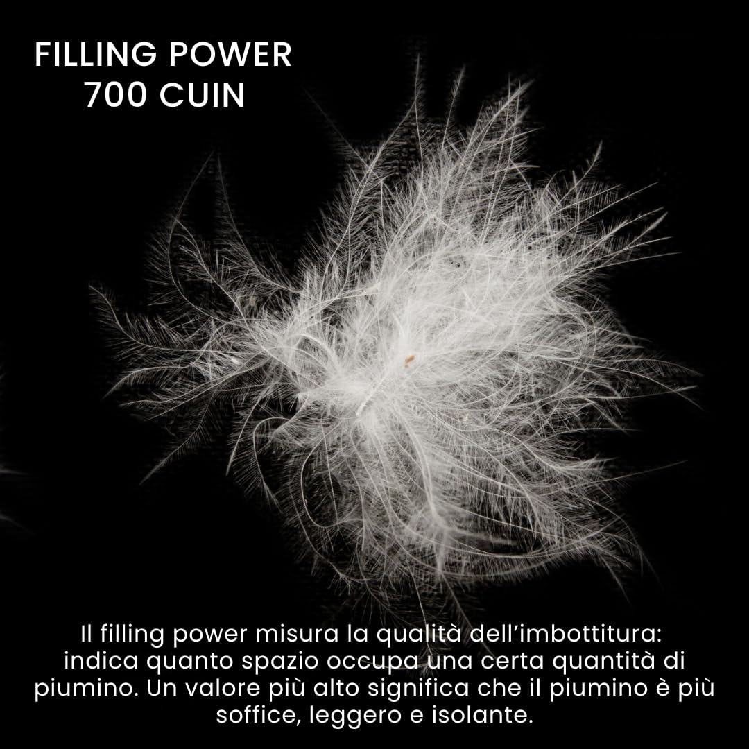 Zenoni & Colombi Piumino Matrimoniale King Invernale in 100% Fiocco di Piumino D'Oca Vergine Siberiano, Piumone Monaco 5 Punti di Calore Made in Italy (INVERNALE, 260X240cm)