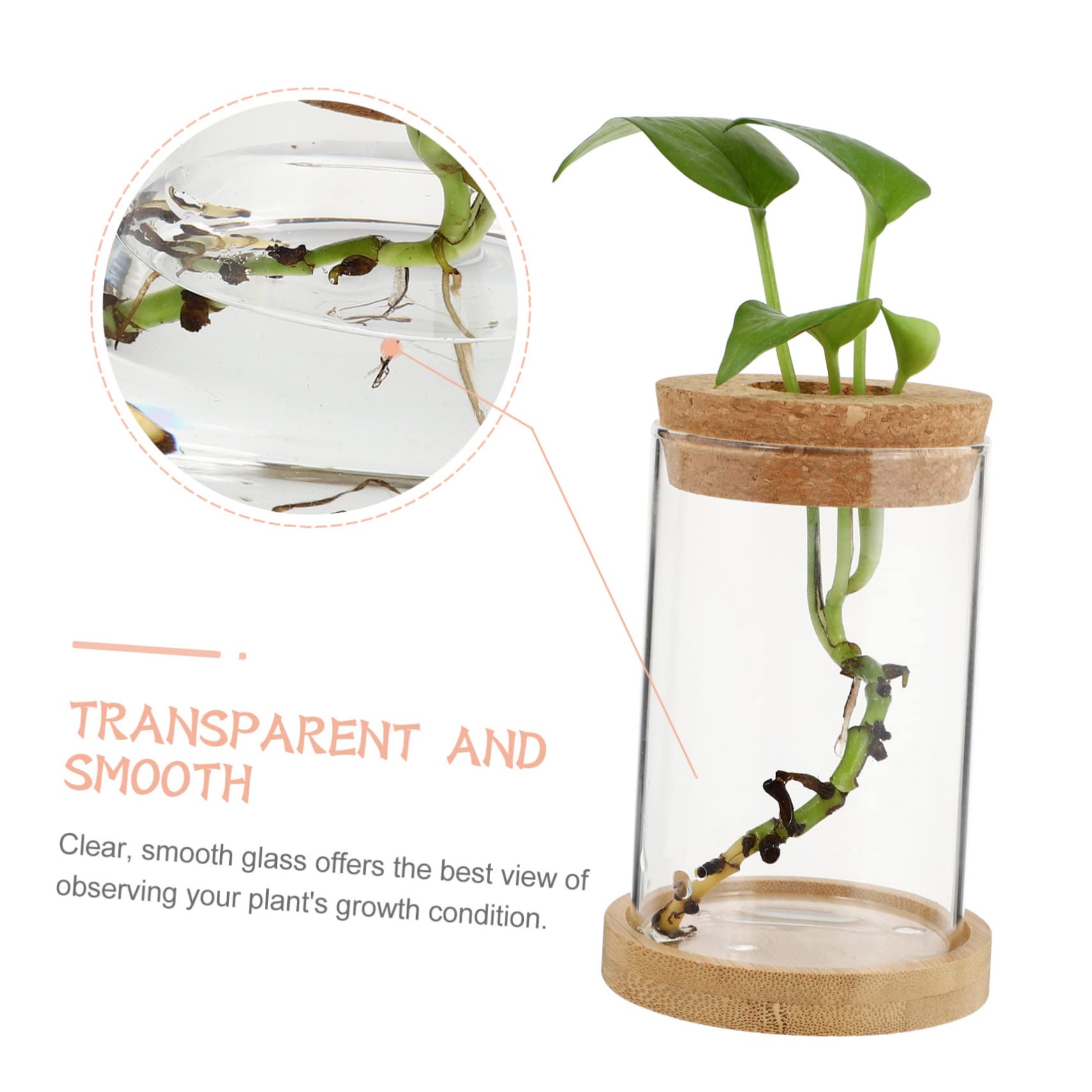 TOPBATHY 3 Ensembles Bouteille Éco Terrarium Végétal Propagé Vases pour Centres De Table Terre Cuite Décoration De La Maison Tuyau Bureau De Pots De Fleurs en Bois Transparent 2 Pièces * 3