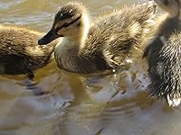 Review Image by Jessica Jessica