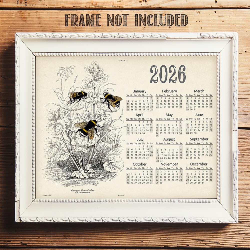 bonnae poster calendar ボンネ ポスター カレンダー Amazon.com: 2026 Calendar - 11x14 Unframed Poster with Bumble Bee