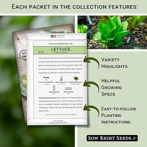 Miniatura 2 de Sow Right Seeds - Gran colección de semillas de lechuga para plantar - Buttercrunch, Jericho, Grandes Lagos, Ensaladera, Pequeña Gema, César Gigante