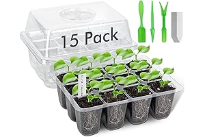 Korum Seed Starter Trays: The Bedrock of Your Indoor and Outdoor Gardening Dreams