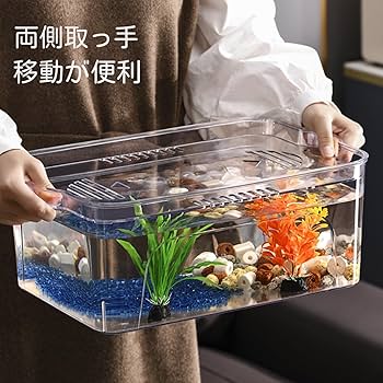 Amazon | 大型水槽、蓋付き透明家庭用水槽、蓋付き水族館