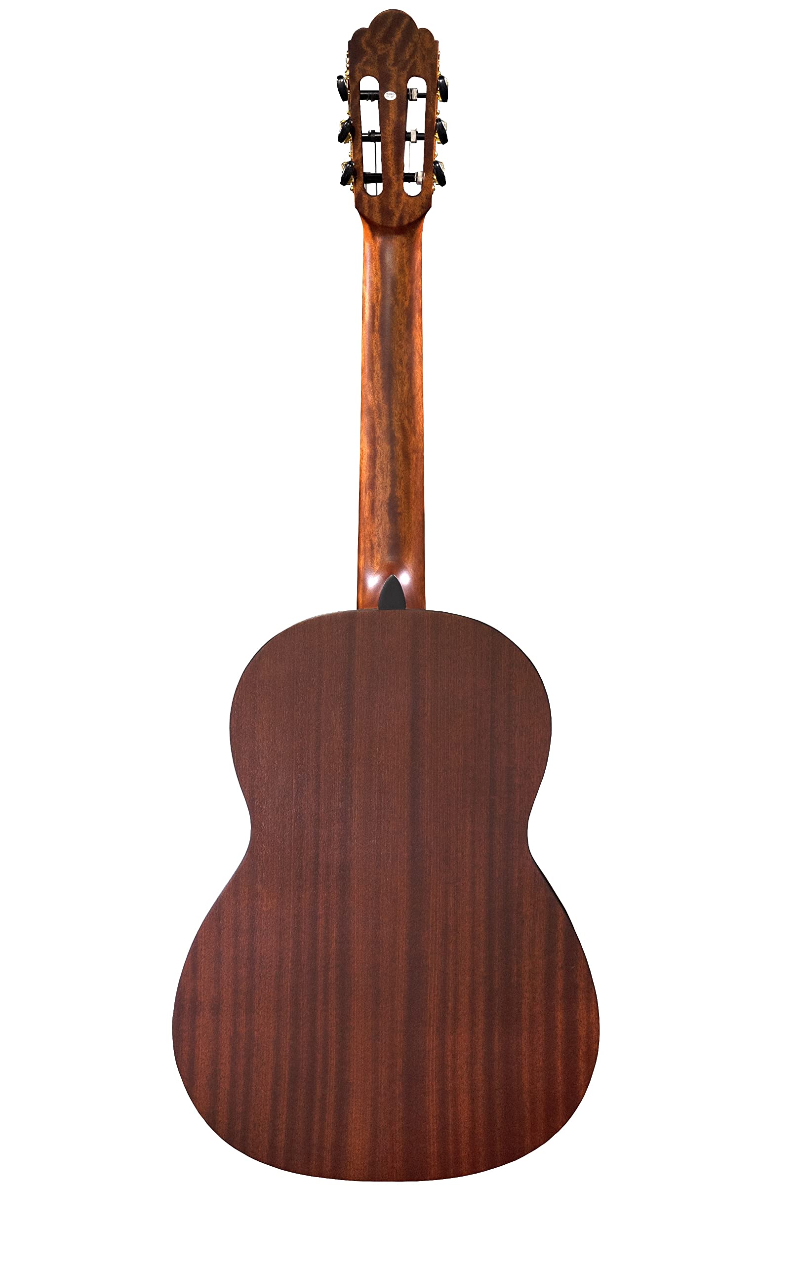 Prodipe 6 corde per chitarra classica (Primera 3/4)