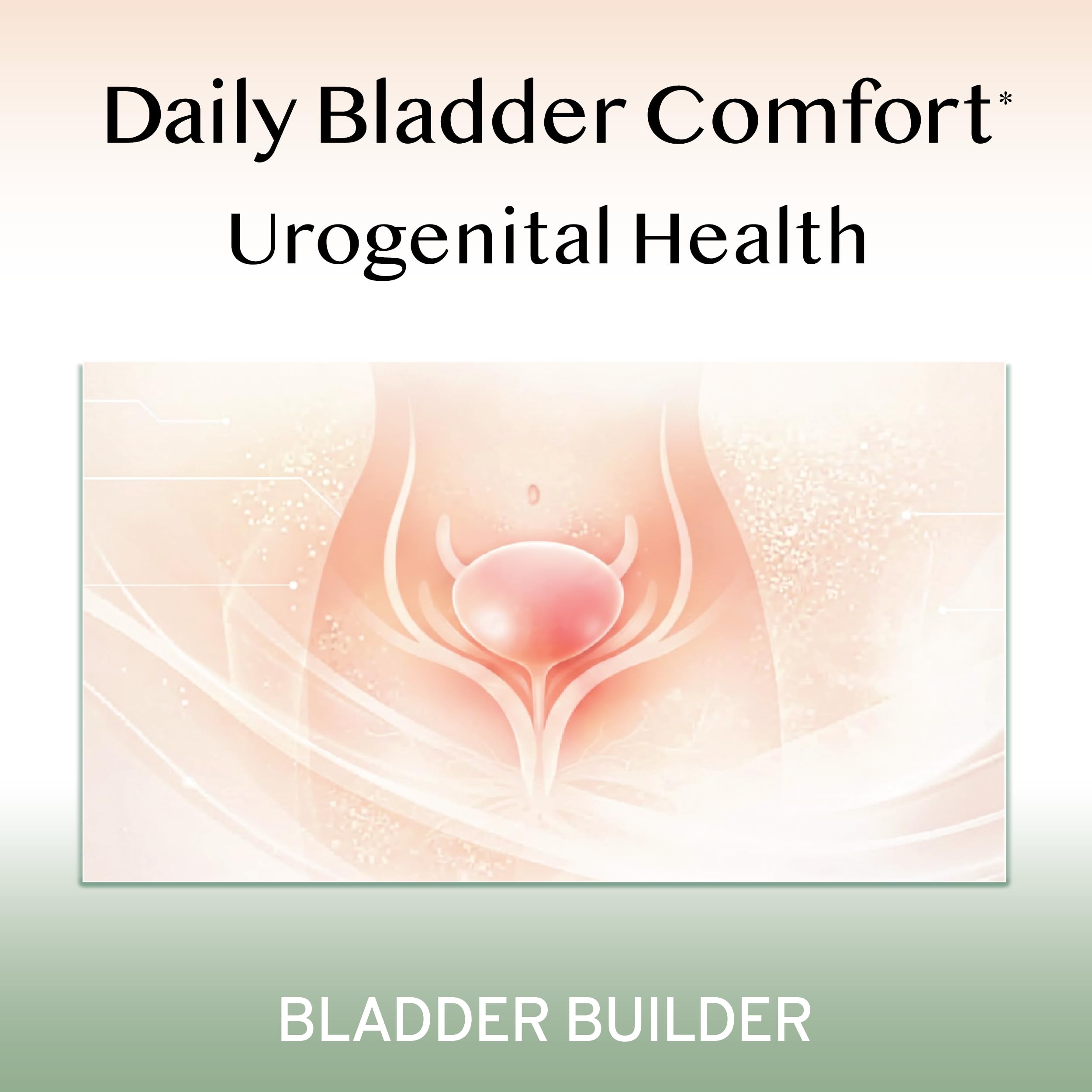 120 Capsules | For Recurring Bladder Discomfort and Urinary Tract Health | Made in the USA